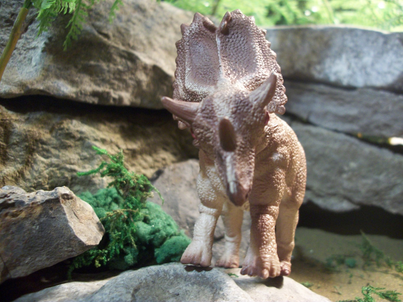 Utahceratops CollectA