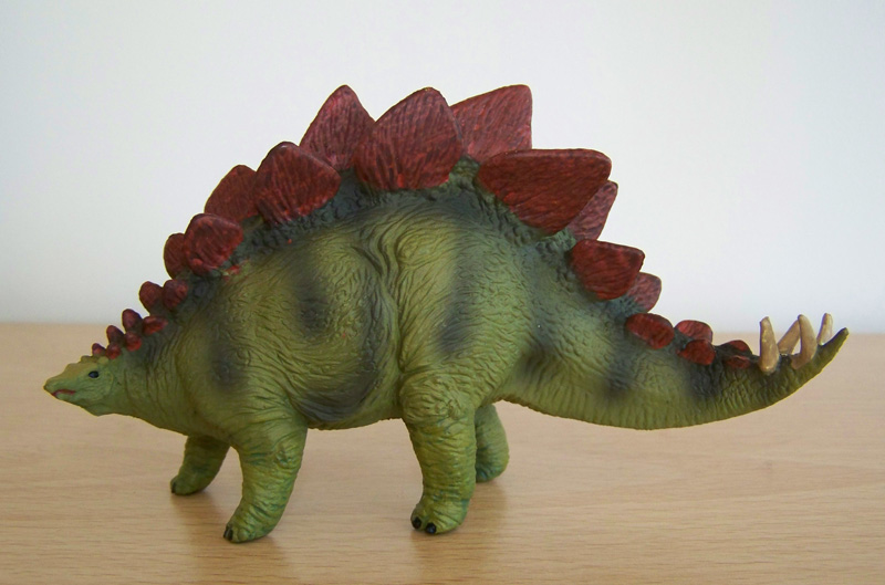 Stegosaurus Carnegie
