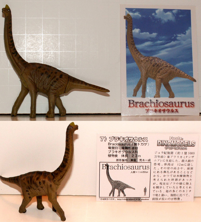 Brachiosaurus Furuta