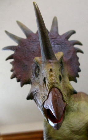 Styracosaurus x-plus