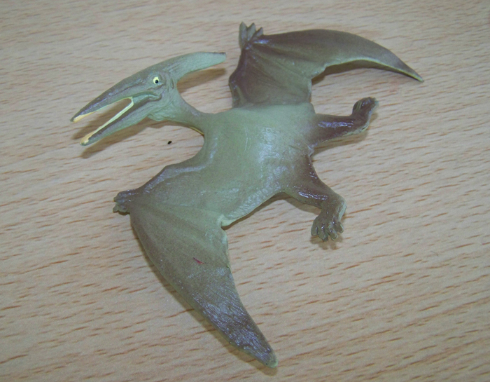 Carnegie pteranodon