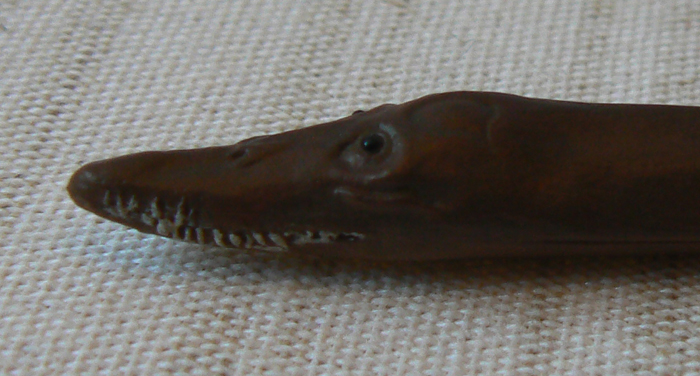 Attenborosaurus CollectA