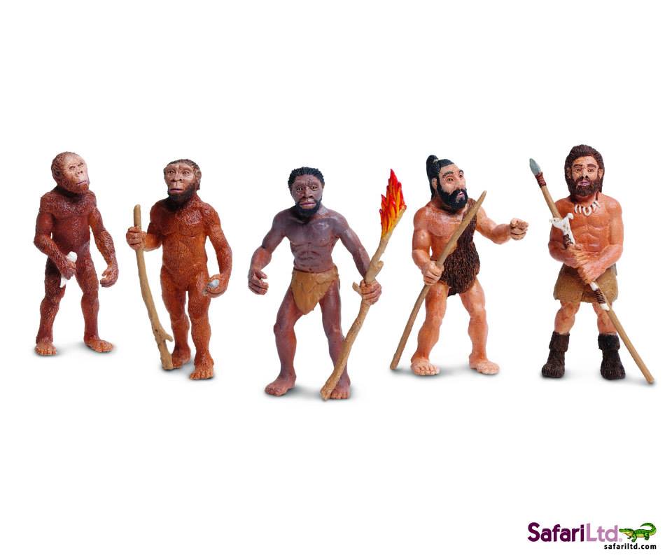 hominids Safari 2014