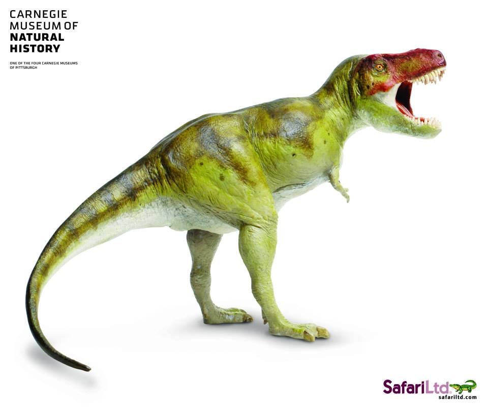 Tyrannosaurus rex 25th Anniversary Carnegie Collection