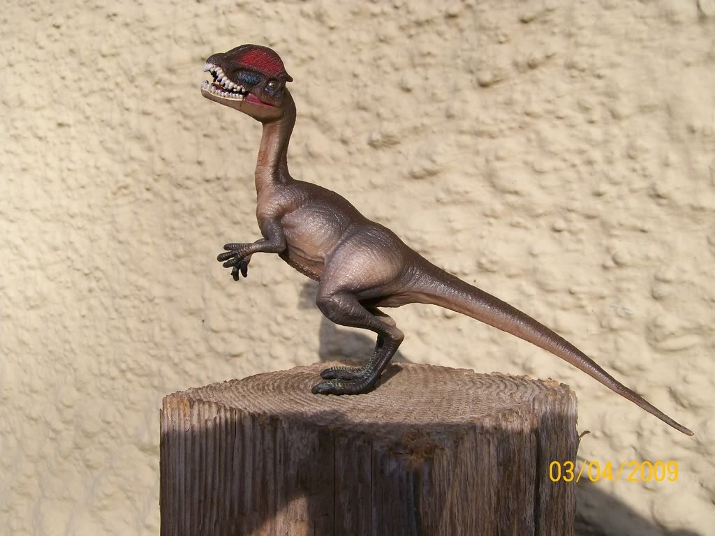 Dilophosaurus (Wild Safari by Safari Ltd)