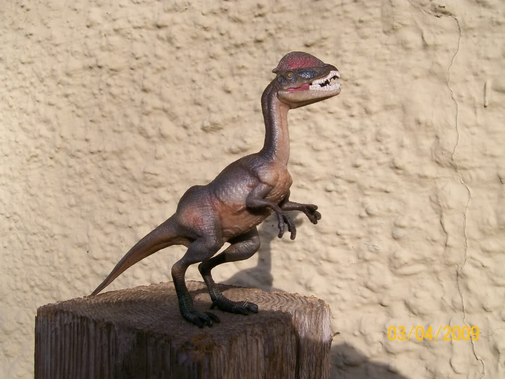 Dilophosaurus (Wild Safari by Safari Ltd)