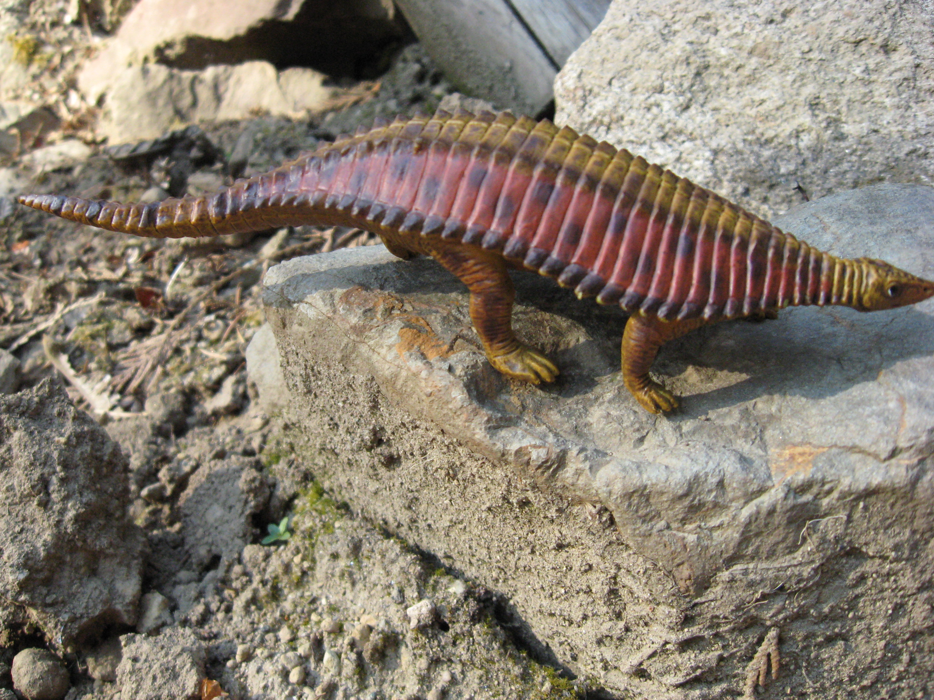 Paratypothorax (The World of Dinosaurs by Bullyland)