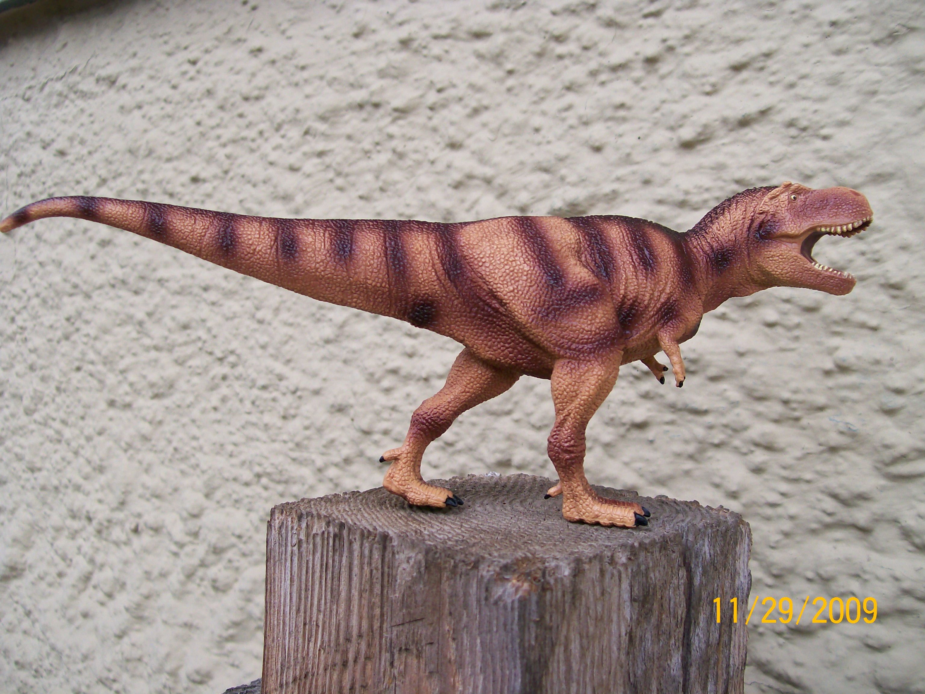 Tyrannosaurus rex (kinto favorite collection)
