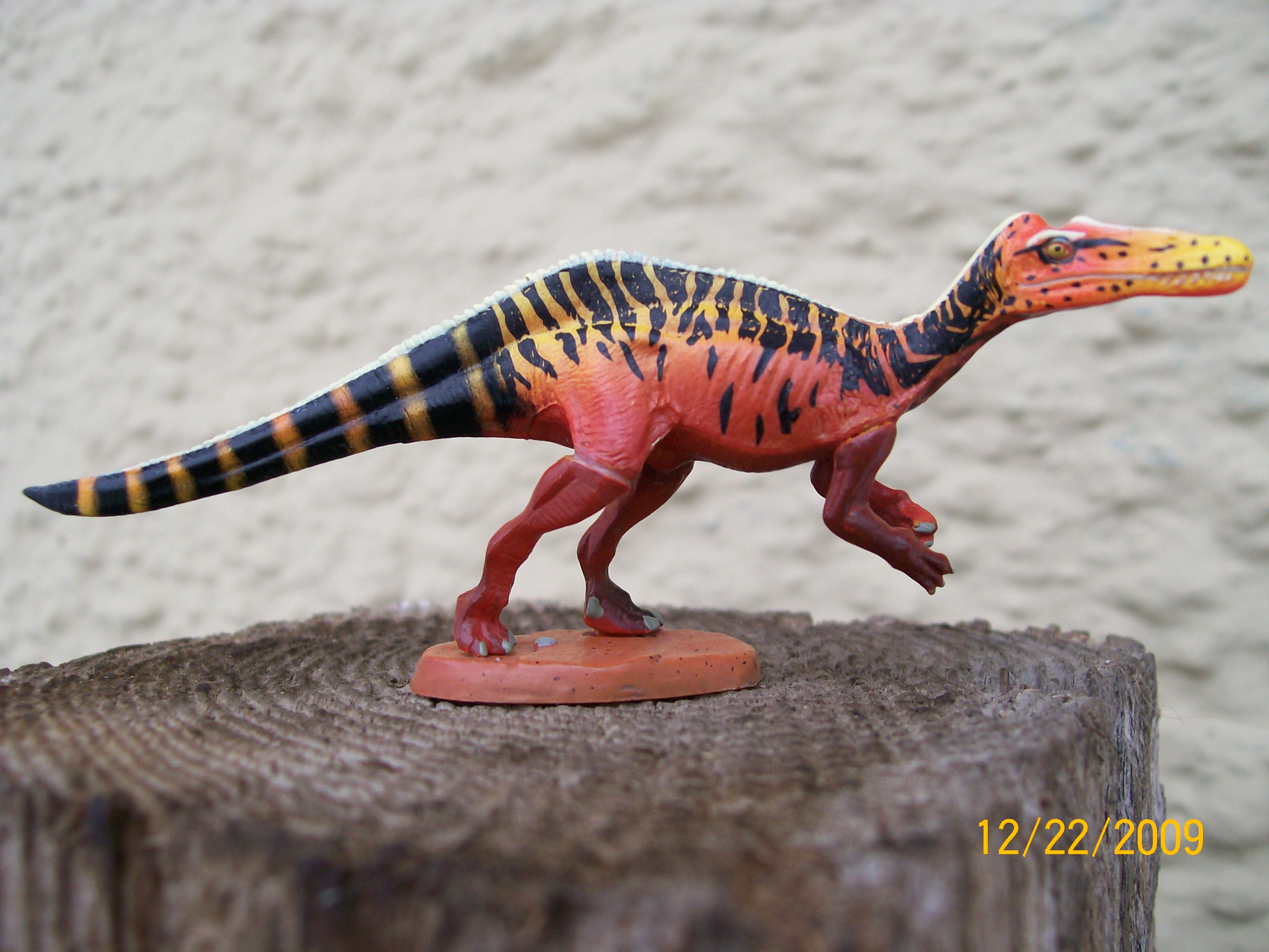 Suchomimus dinotales