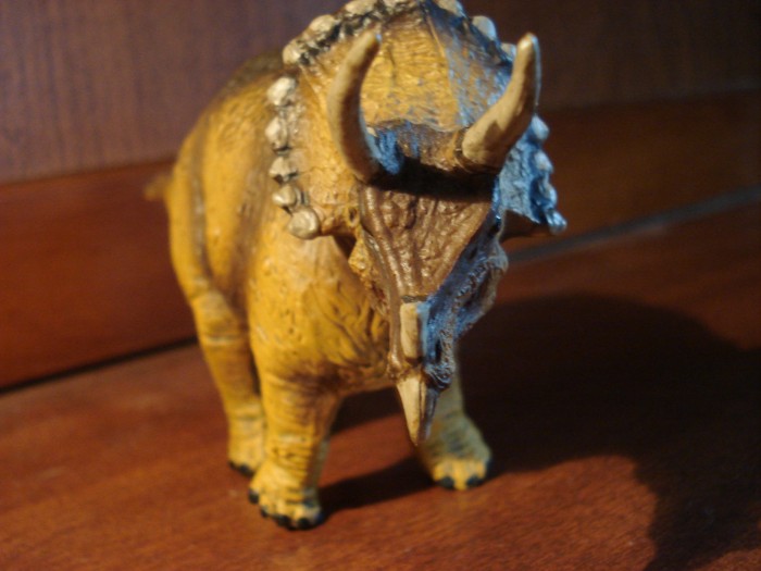 "Triceratops