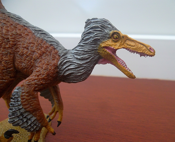Velociraptor (2)
