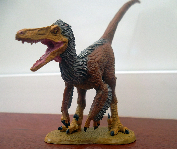 Velociraptor (3)