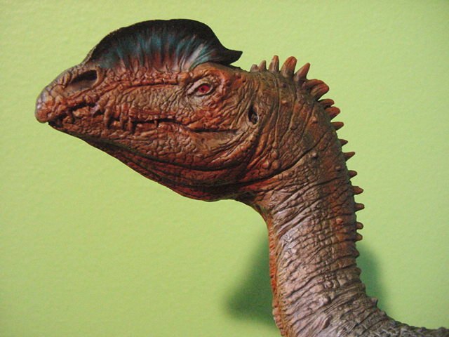 sideshowdilophosaurus (10)