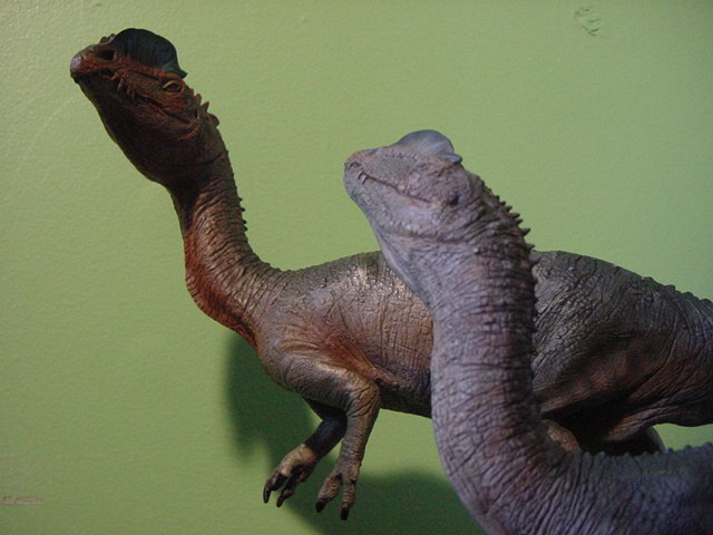 sideshowdilophosaurus (11)